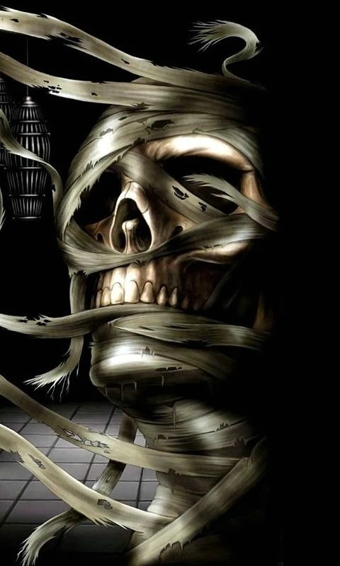 頭骨動態(tài)壁紙(Skulls Live Wallpaper) v3.0 安卓版 0