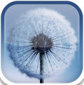 三星蒲公英動態(tài)壁紙(Galaxy S3 Dandelion)
