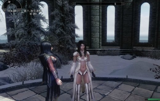 上古卷軸5超美首席法師法袍MOD綠色版  1