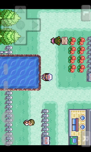 口袋妖怪葉綠版386 完整中文版 1