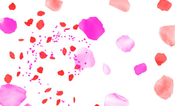 PS玫瑰花瓣筆刷  0