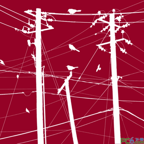 19款鳥類和電線桿筆刷 附ps筆刷安裝方法 0