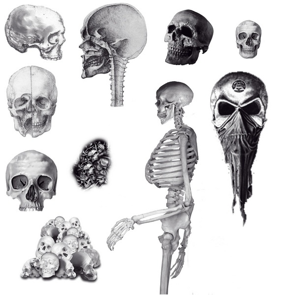 恐怖鬼怪骷髏筆刷 骷髏筆刷安裝介紹 0