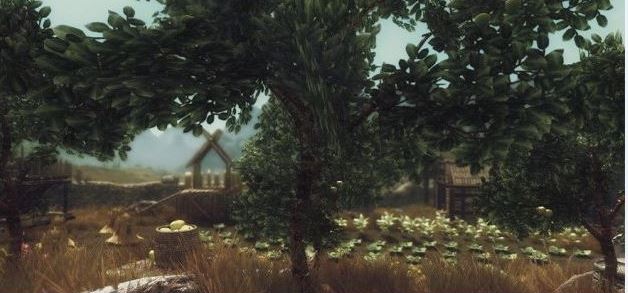 上古卷軸5洛里克鎮(zhèn)美化MOD 綠色版 1