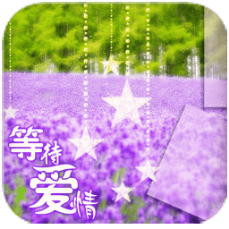 薰衣草等愛情鎖屏動態(tài)壁紙