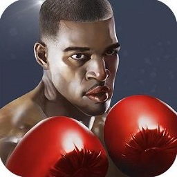 Punch Boxing 3D 拳擊之王