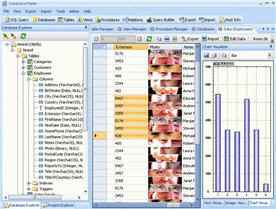 Database Master(數(shù)據(jù)庫管理軟件) v5.2.51.18513 官方綠色版 0