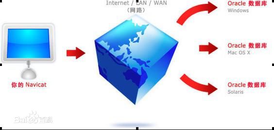 Navicat for Oracle(Oracle數(shù)據(jù)庫管理工具) v11.0.6 官方正式版 0