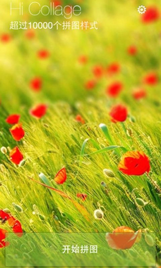 隨手拼 v1.6 安卓版 2