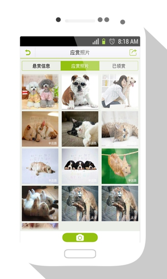 茄子懸賞最新版 v1.4.8 安卓版 2