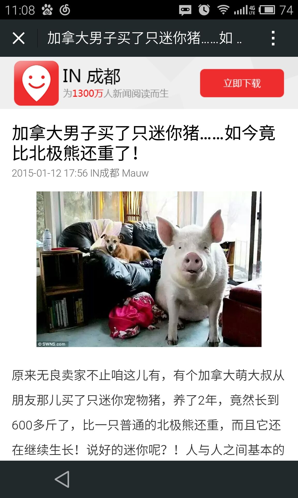 IN成都 v5.1 安卓最新版_成都全搜索 2