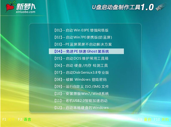 新蘿卜U盤啟動(dòng)制作工具 v2.0.0.101 官方裝機(jī)維護(hù)版 0