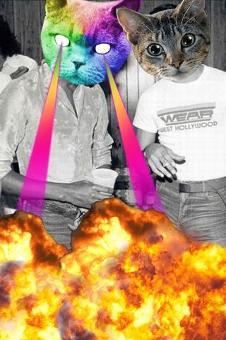 catwang美圖軟件 v3.2 官方安卓版 1