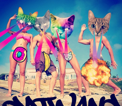 catwang電腦版 v1.8 官方版 0