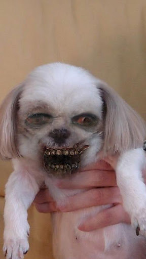 變臉僵尸(ZombieBooth) v4.30 安卓版 2