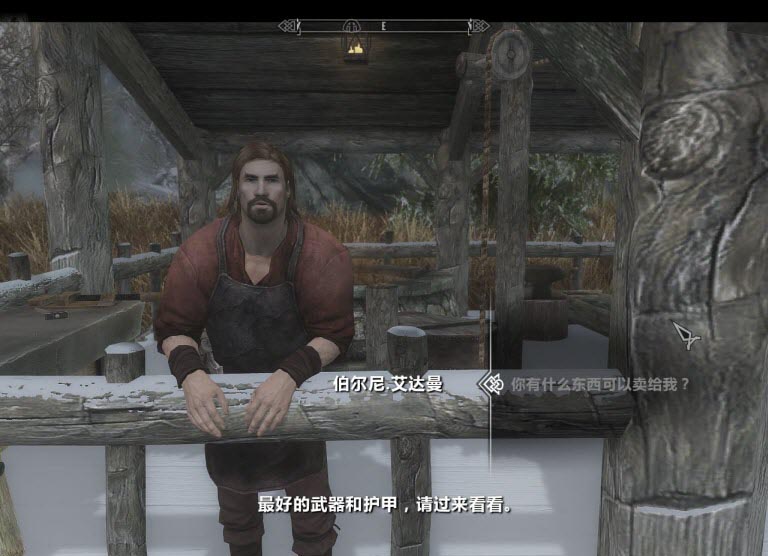 上古卷軸5主城鐵匠鋪補全MOD 綠色版 0