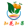 知花知果(水果購物)