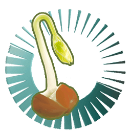 六壬神課(星運(yùn)占卜)