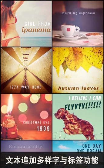 moldiv安卓版下載