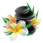 寧夏養(yǎng)生網(wǎng)