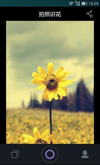 拍照識(shí)花(照片識(shí)花認(rèn)草) v1.3.1.5 安卓版 4