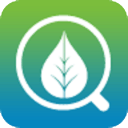 林檢(森林檢查)