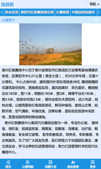 信鴿網 v1.0 安卓版 0