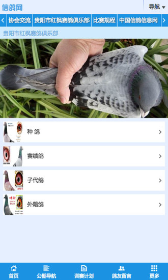 信鴿網 v1.0 安卓版 3