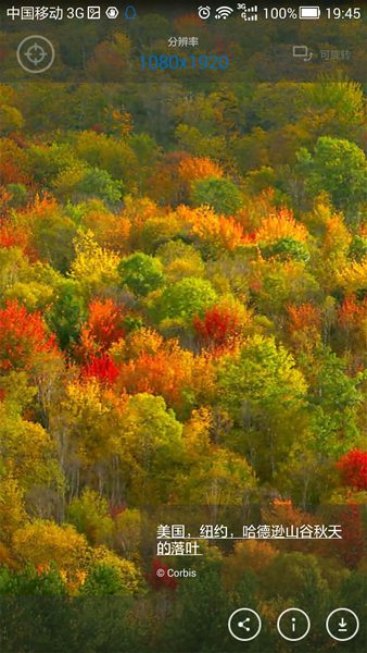 今日必應(yīng)壁紙 v1.4.0 安卓版 0