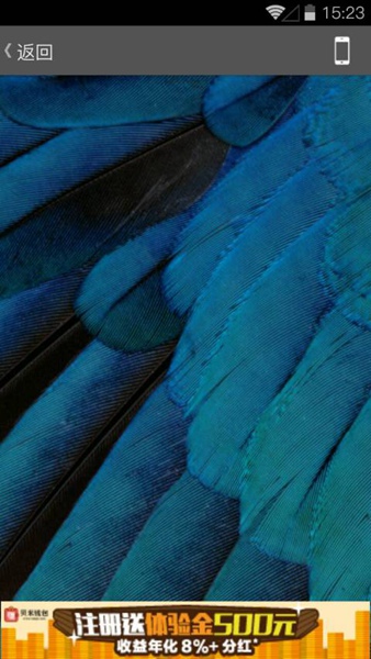 原生壁紙 v1.2.0 安卓版 3