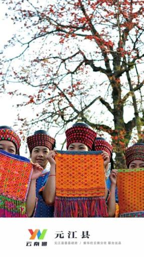 云南通元江縣 v1.0.12 安卓版 2