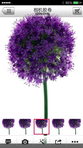 Pocket Photo(LG相片打印) v2.5.10c 安卓版 1