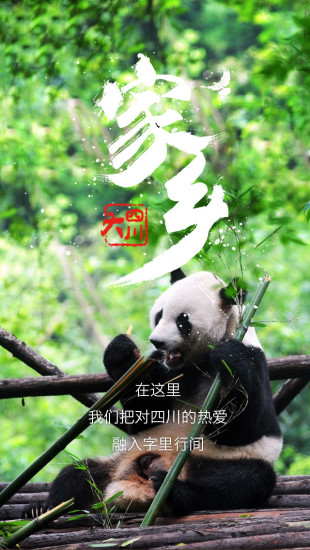 大四川 v16.01.0701 安卓版 1