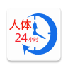 人體24小時(shí)工作表