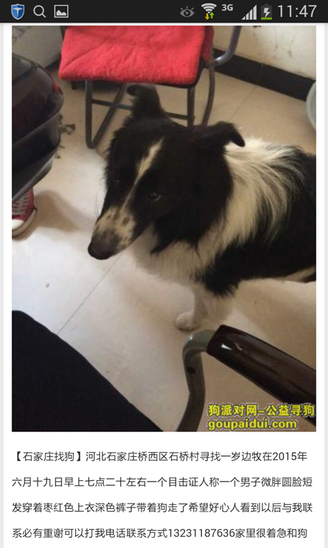 尋狗啟示 v0.5 安卓版 3