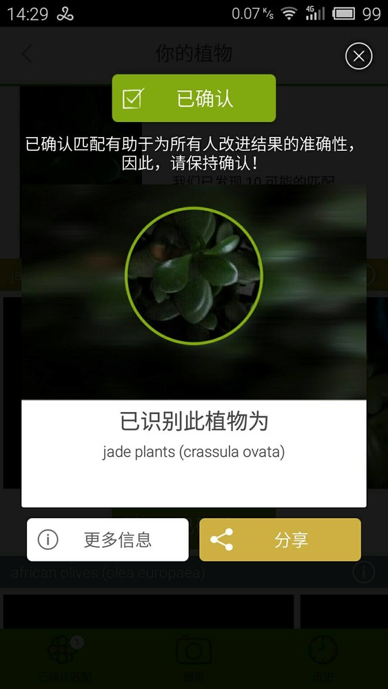 LikeThat花園app下載