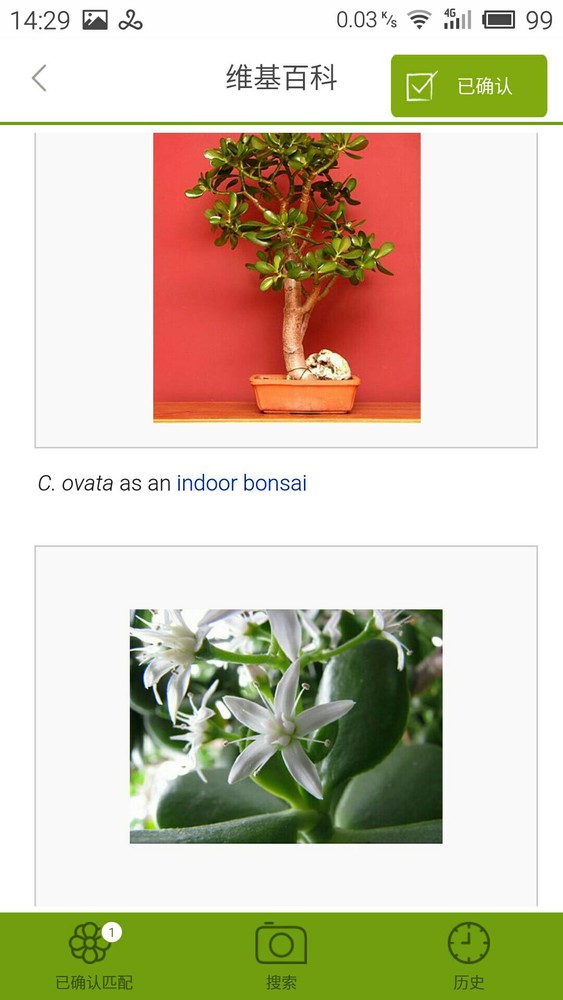 LikeThat花園(園藝) v1.1.7.4 安卓版 5