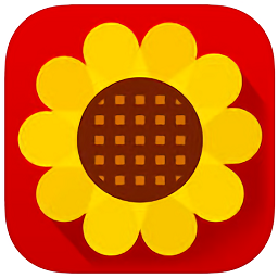 恒美掌金色年華