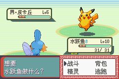 口袋妖怪憶夢之巔 附作弊碼 0