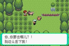 口袋妖怪憶夢之巔 附作弊碼 1