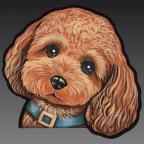 泰迪啤啤熊(養(yǎng)寵服務(wù))