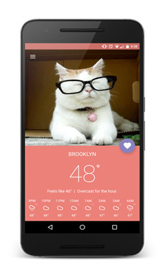 Meowzr(貓咪天氣) v1.0 安卓版 1