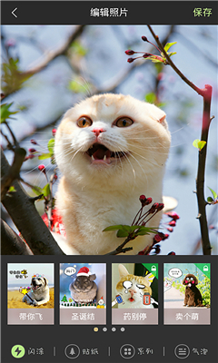 萌寵相機(jī) v1.0 安卓版 3