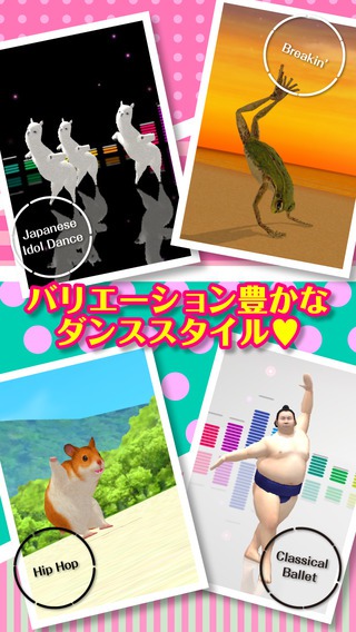 adanza跳舞的羊駝免費(fèi)下載