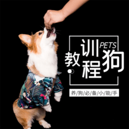 訓(xùn)狗教程視頻大全