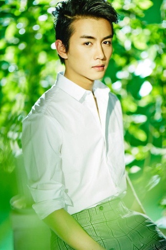 人氣帥哥陳曉動(dòng)態(tài)壁紙 v8.15.1 安卓版 0