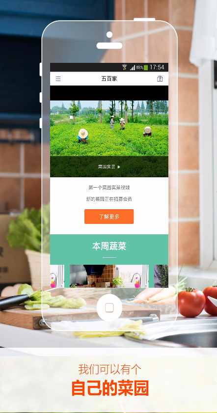 五百家(蔬菜配送) v1.1.1 安卓版 0