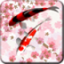 和風(fēng)錦鯉動(dòng)態(tài)壁紙