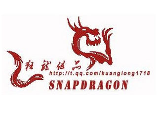 狂龍文件捕捉工具