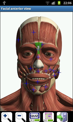 3d虛擬人體解剖(Visual Anatomy) v4.1 安卓已付費完整版 1